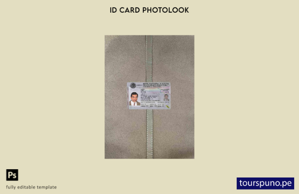 Plantilla FRONTAL lista para imprimir con foto de identificación de México